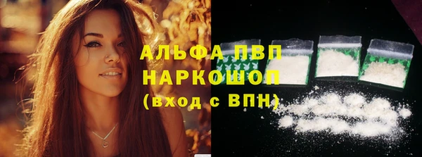 PSILOCYBIN Каменногорск