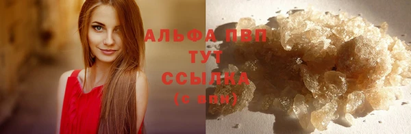 бошки Карпинск