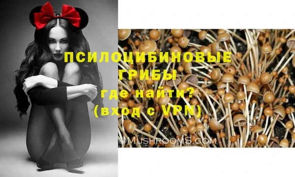a pvp Касимов