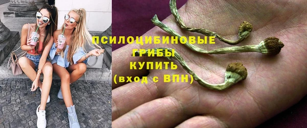 прущая мука Каменск-Шахтинский