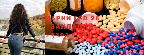 PSILOCYBIN Каменногорск