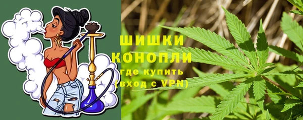 PSILOCYBIN Каменногорск